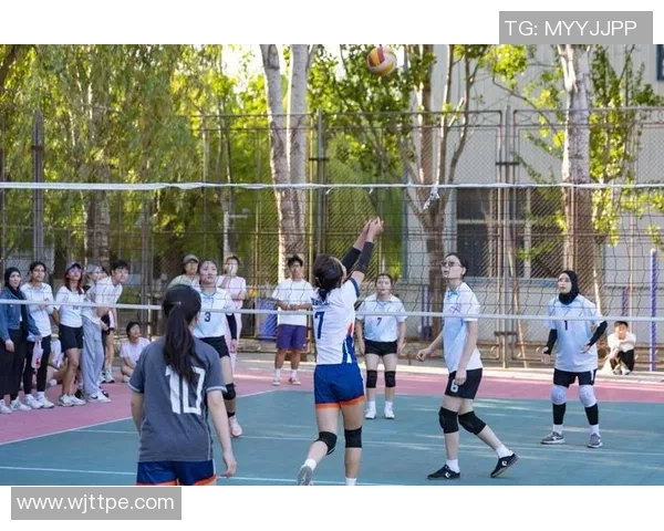 杭州排球队在全国排球团队协作排行榜中荣获第九名的佳绩