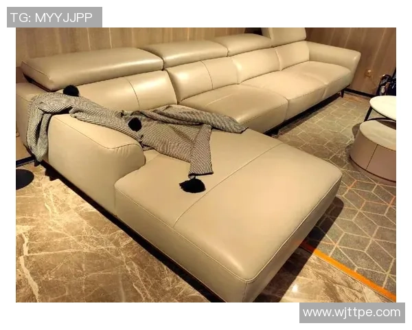 足球明星们青睐的沙发品牌揭秘舒适与时尚的完美结合 足球明星们青睐的沙发品牌揭秘舒适与时尚的完美结合